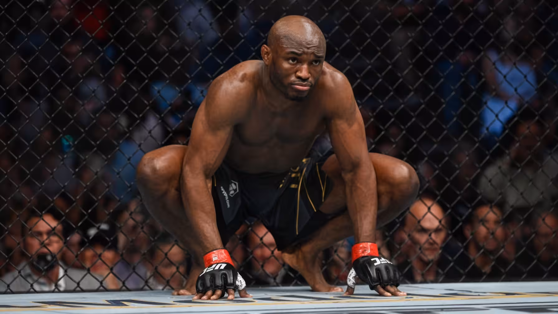Kamaru Usman MMA Profile Record, Stats, Biography, UFC Career & Fight History