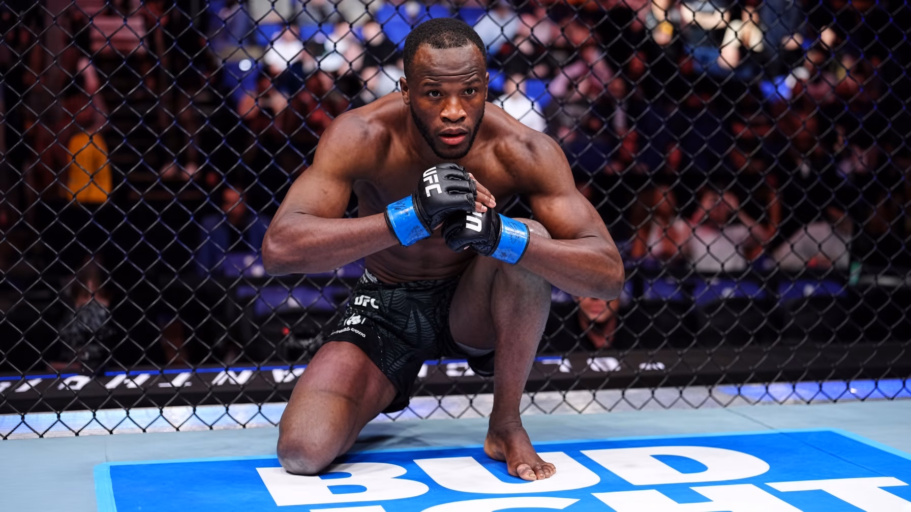 Muhammad Naimov MMA Profile Record, Stats, Biography, UFC Career & Fight History