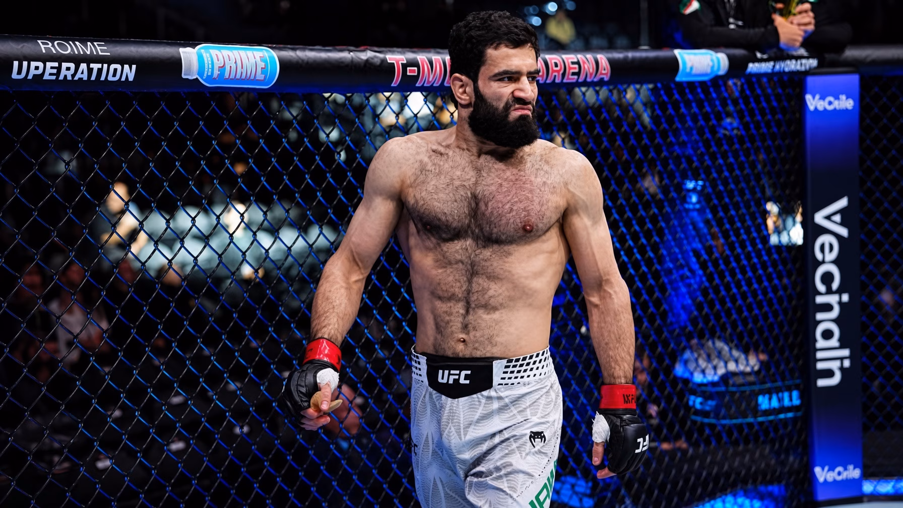 Muhammad Naimov MMA Profile Record, Stats, Biography, UFC Career & Fight History